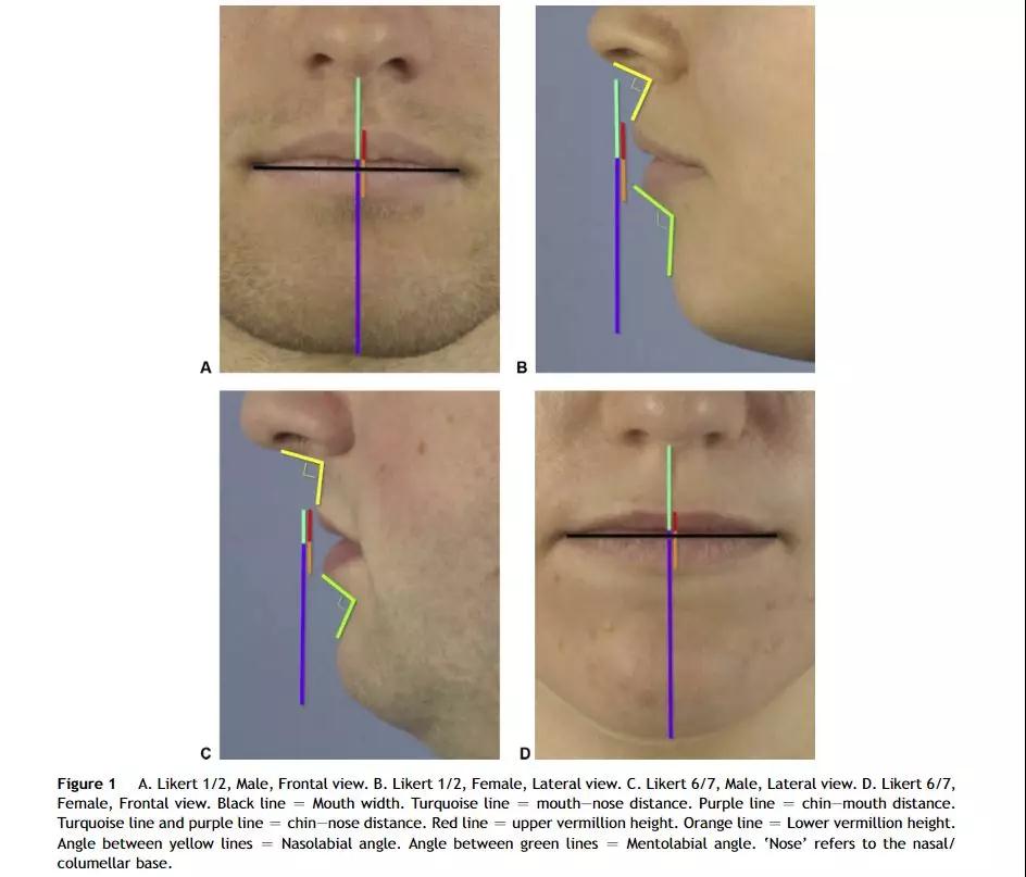 如何测试自己的嘴唇是薄还是厚,嘴唇打分