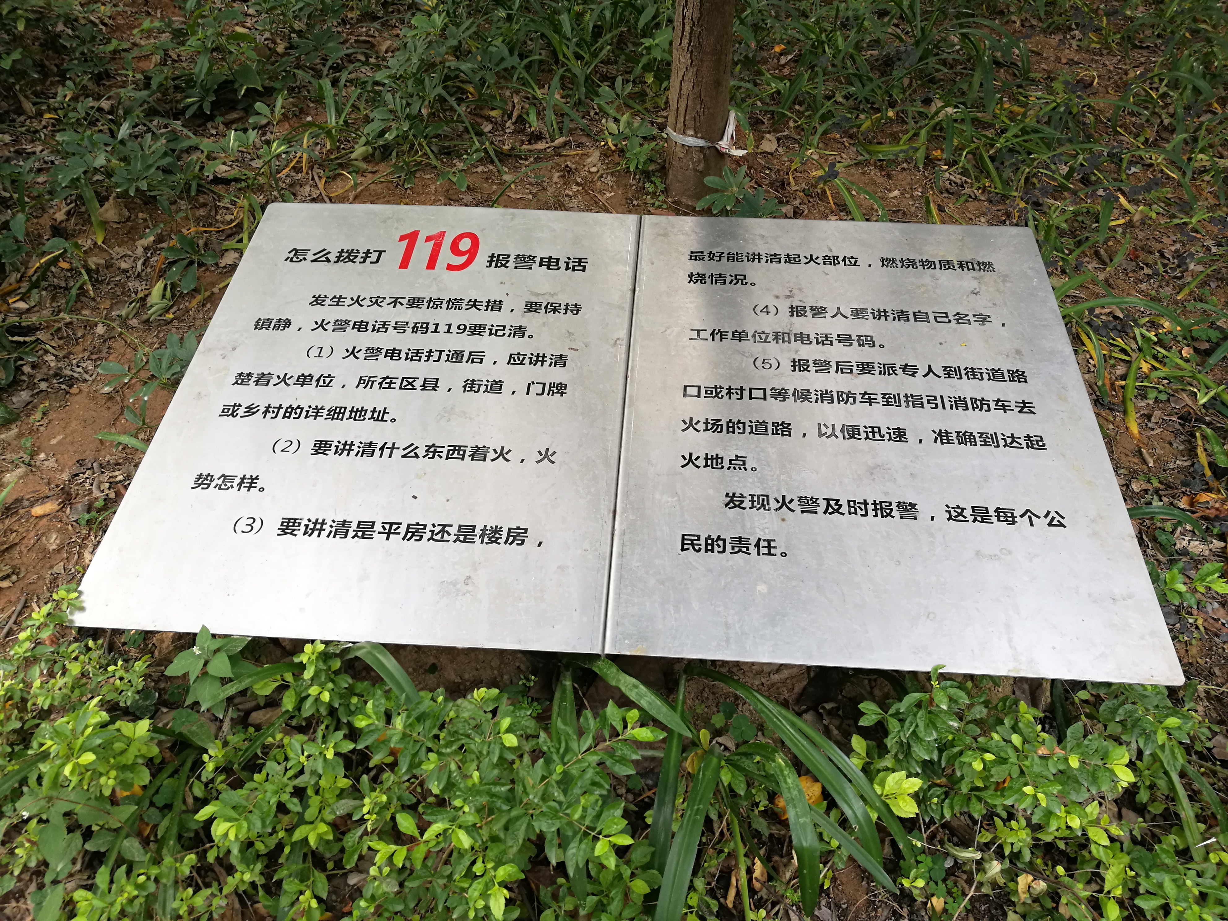 平安夜偶遇第一场雪,平安夜偶遇生日