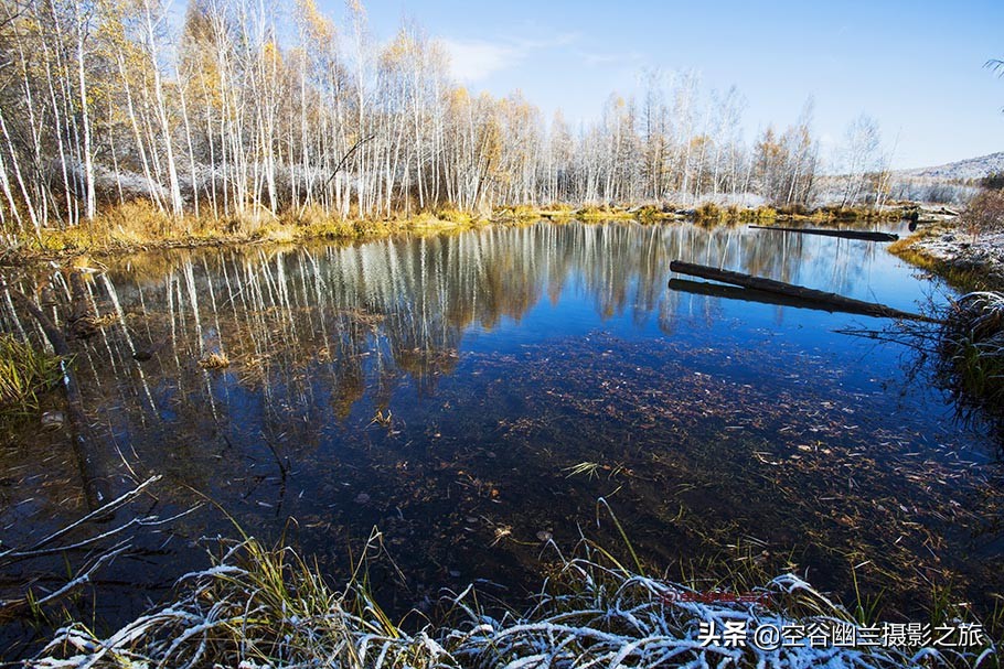 在莫尔道嘎，我遇见了最美的秋雪