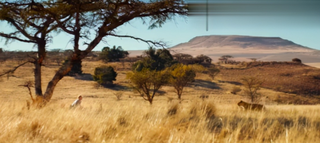 去非洲草原，要怎么做，才能不被狮子吃掉？