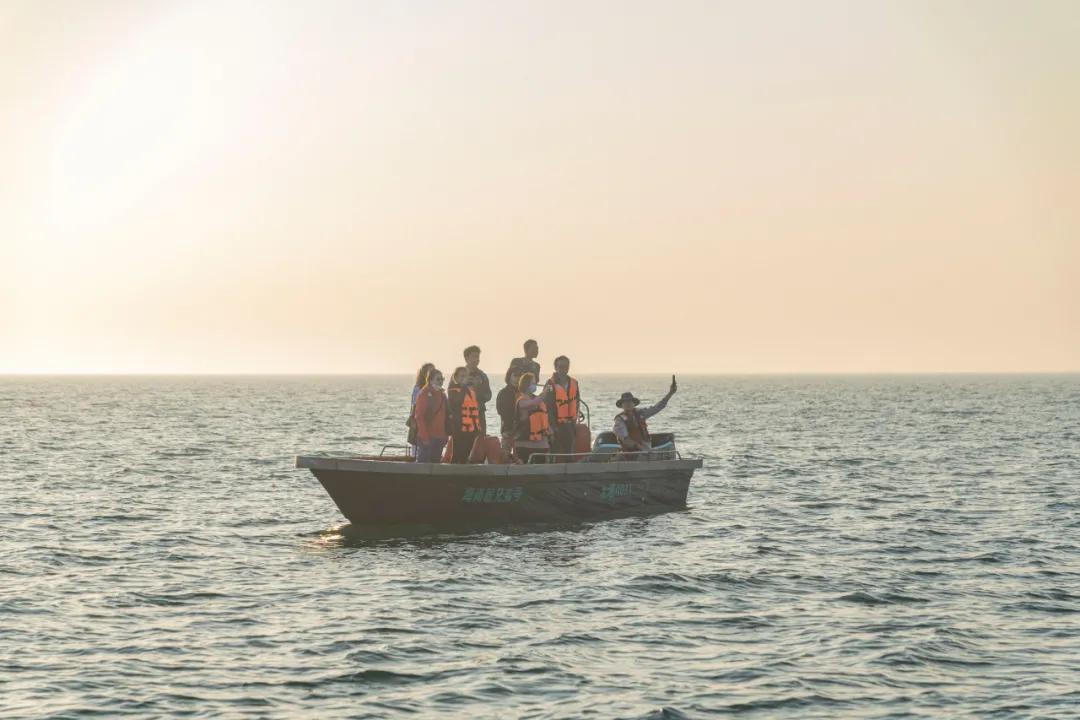 北海布氏鲸视频,广西北海布氏鲸图片