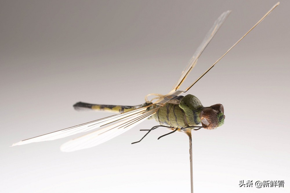 1974年美国如何用“蜻蜓”*听窃**，中情局CIA间谍器材解密