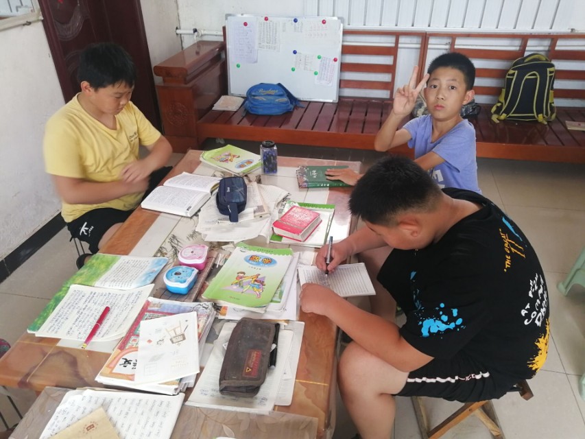 向日葵暑期社会实践团,向日葵暑期社会实践团队