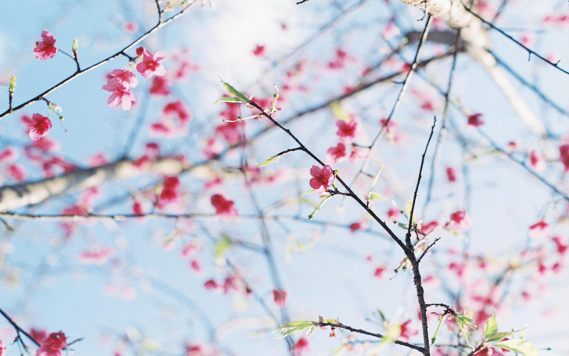 非常讨厌别人命令自己的星座,什么星座讨厌别人的命令