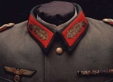 冷知识科普员,冷知识大科普你知道几条