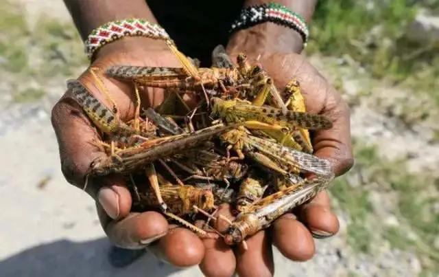 在非洲工作第一年遇上新冠疫情