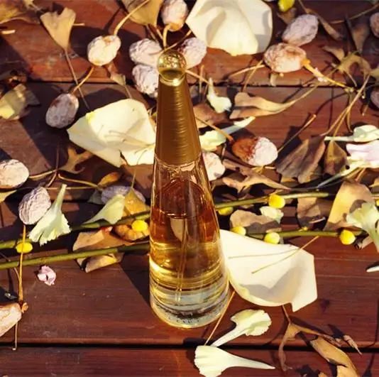 三宅一生一生之水怎么样,三宅一生男士一生之水点评