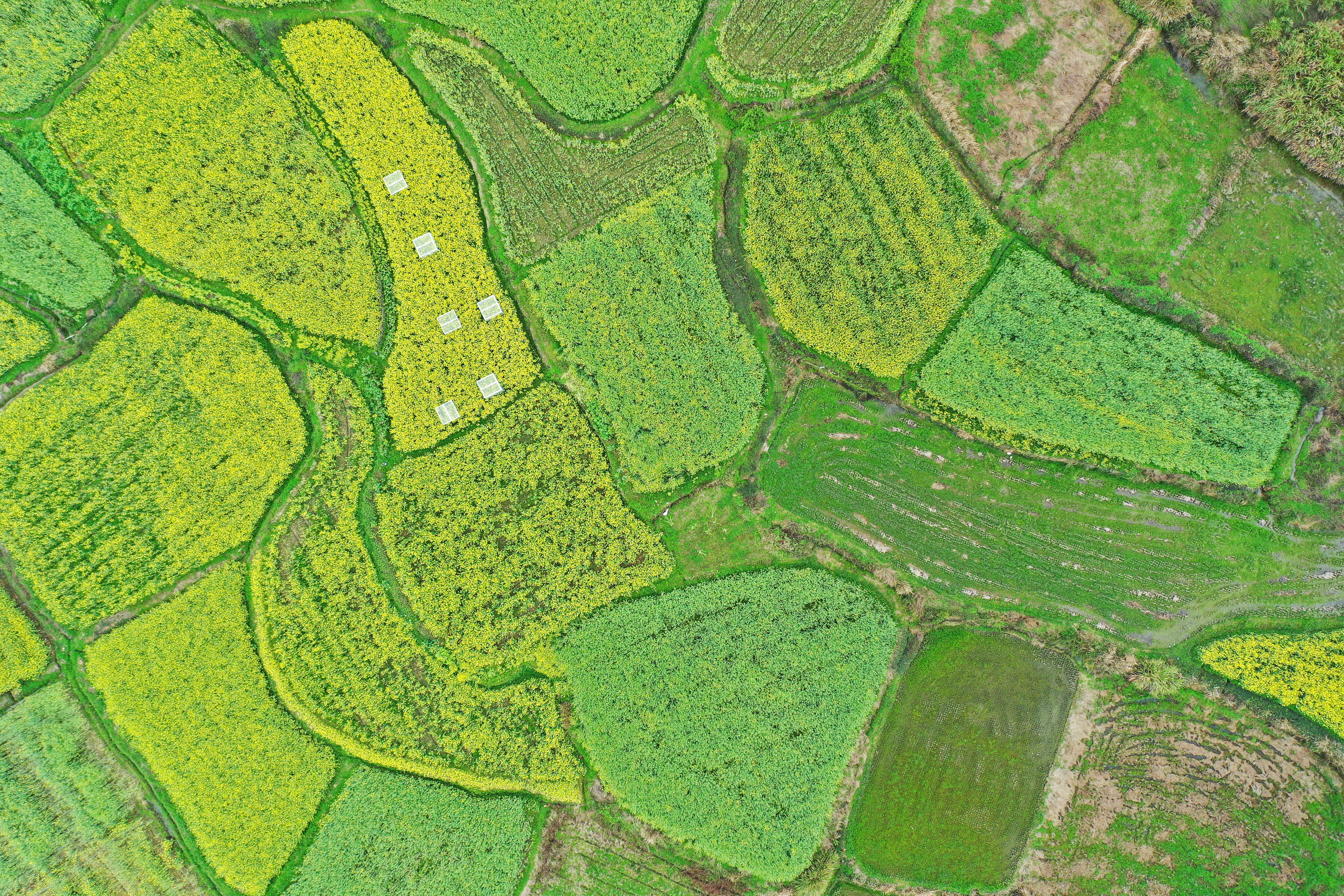 绿水青山的垦殖场