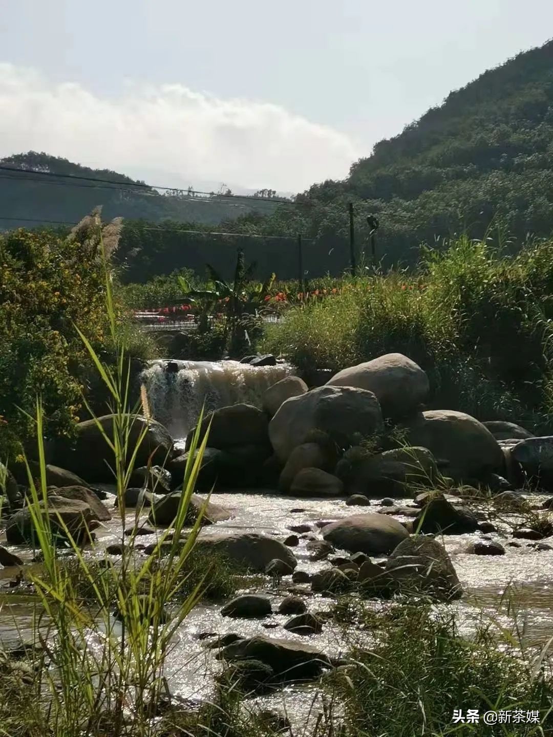 南糯山有什么景点,南糯山有哪些景点