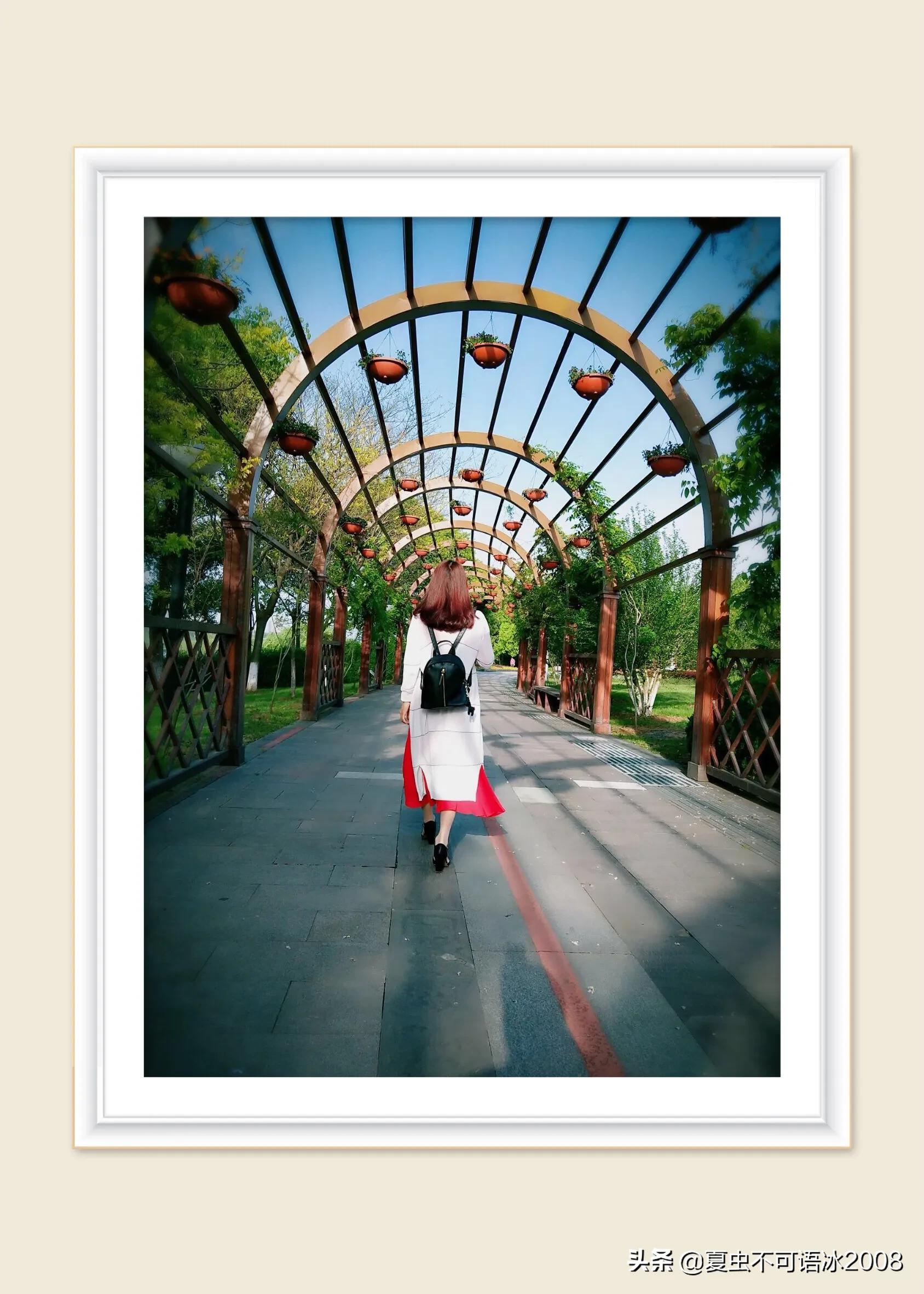 微课在物理教学中的应用,微课在物理教学中的应用论文