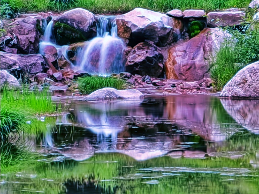 驼梁七月草原美，金莲妖娆入画里/郝贵云