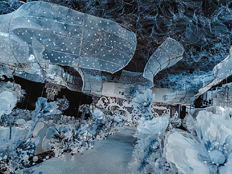 酒店婚宴婚庆哪个重要,选了婚宴酒店还要选婚庆吗