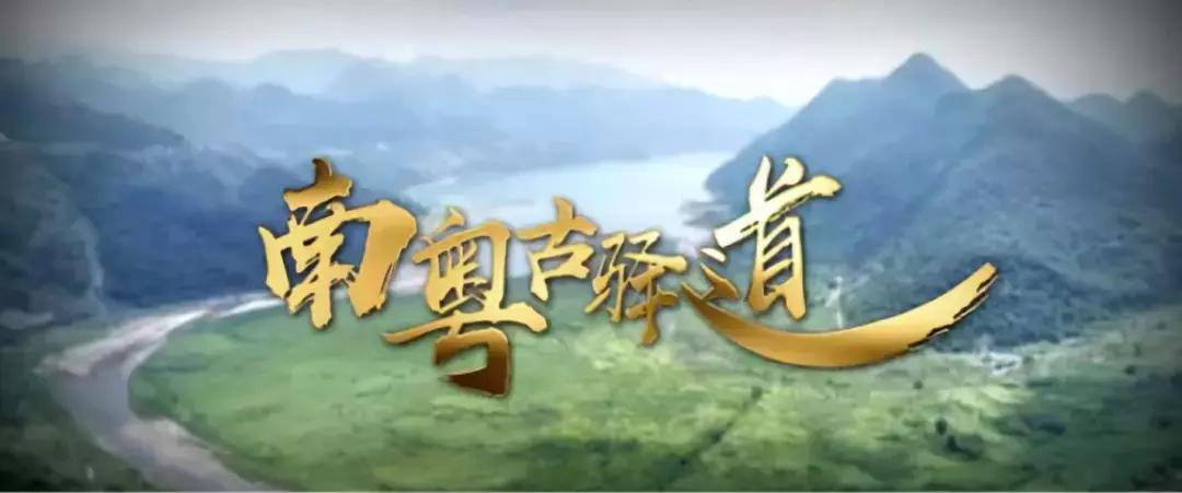 骄傲！央视新闻用15分钟介绍从化，值得每一个从化人分享！