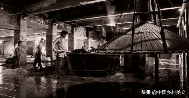 鎴戝拰鎴戠殑鐖惰緢,鎴戠殑绁栫埗鐢熷钩