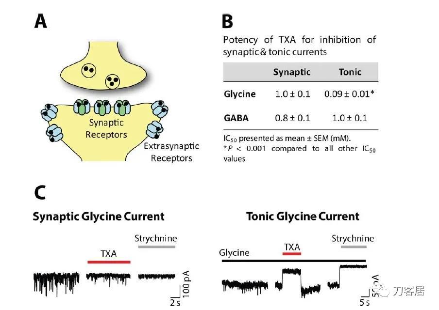 氨甲环酸是禁用药吗,氨甲环酸专家共识