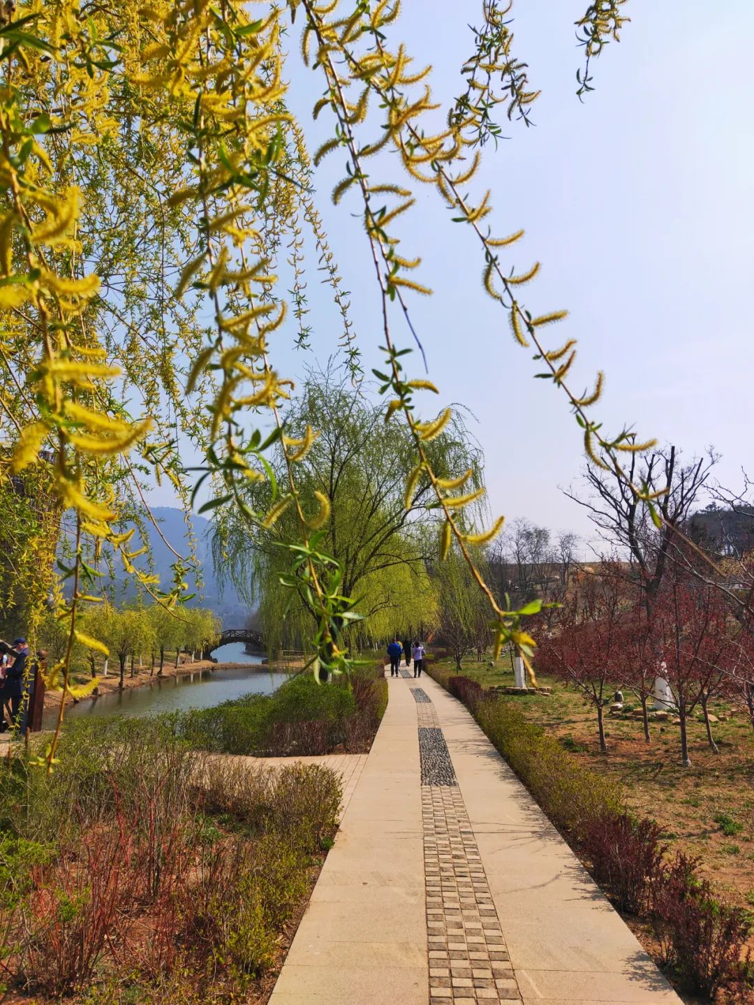 西郊山林休闲养生度假公园,休闲好去处西郊森林公园