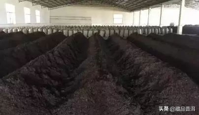 普洱茶选什么品牌好,普洱茶怎么选择品牌