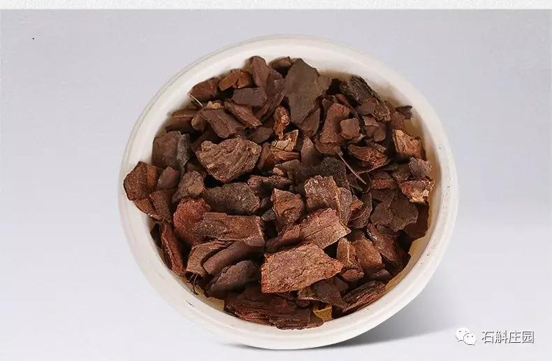 种植石斛兰的正确方法,石斛兰如何种植长得好看