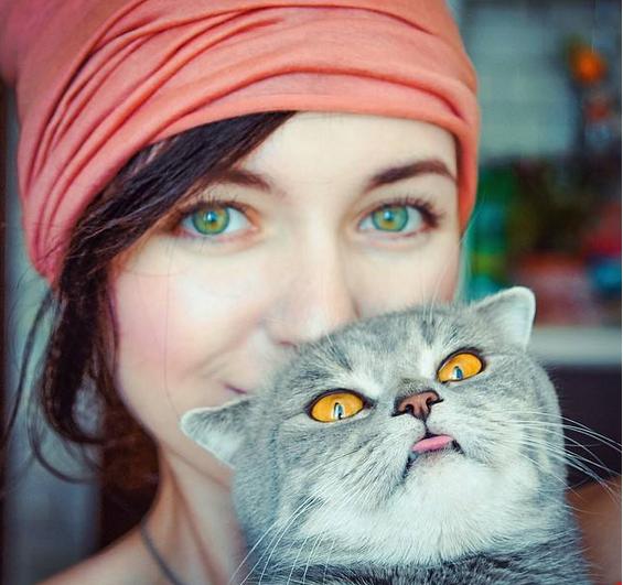 最近很火的猫咪折耳猫,有着天使的面孔的猫