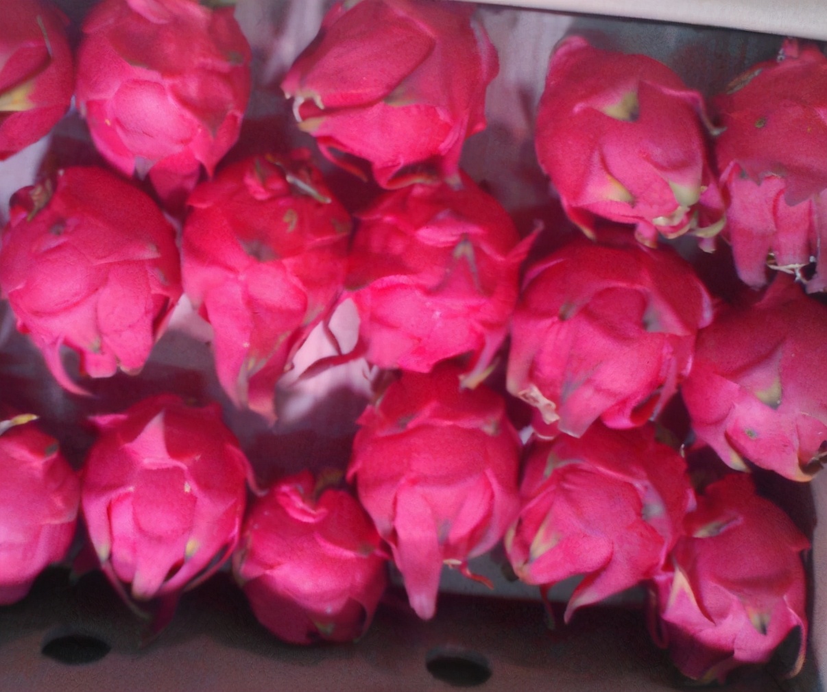 火龙果怎么买最甜,买火龙果买整颗的