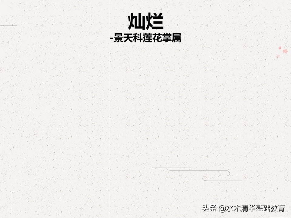 梦幻女王多肉植物百科图谱,原产地多肉植物图谱pdf