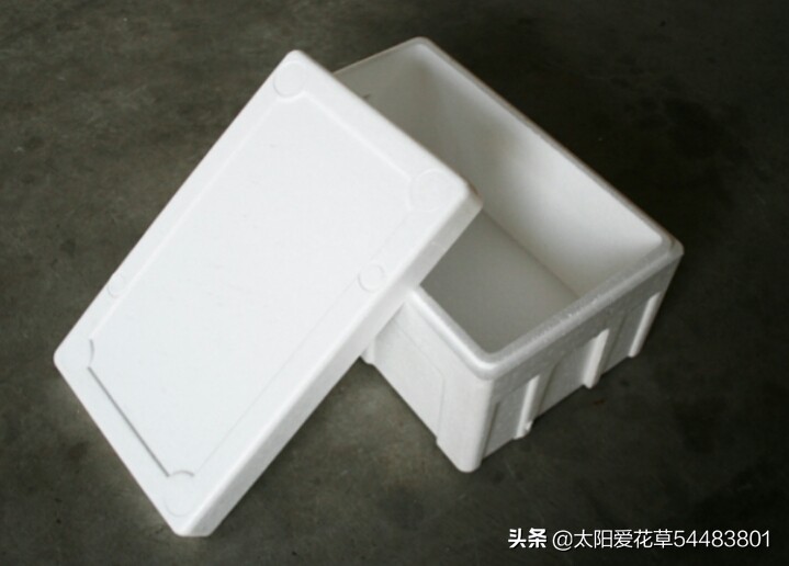 养花在花盆底下垫什么东西最好,养花盆用什么垫底好