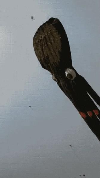 你觉得安徽人如何,在你眼中的安徽人怎么样