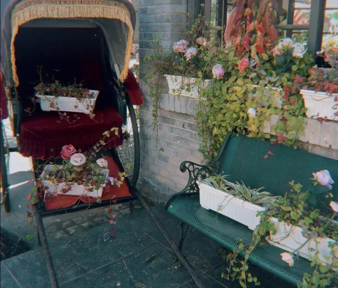 西安打卡景点和网红地,西安最近最火的打卡圣地