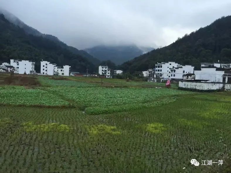 婺源龙尾山砚石,婺源砚石