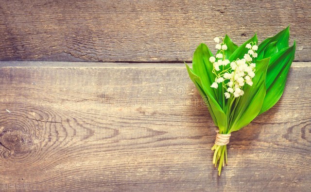 明知相思苦只因相思已入骨下一句,世人皆知相思苦只怕相思已入骨