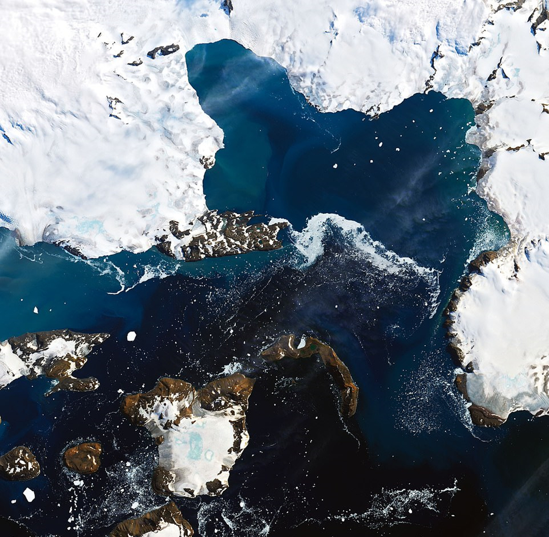 北极海冰融化怎么办,海冰融化