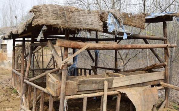 一等功臣历经七次截肢,一等功臣壮烈牺牲