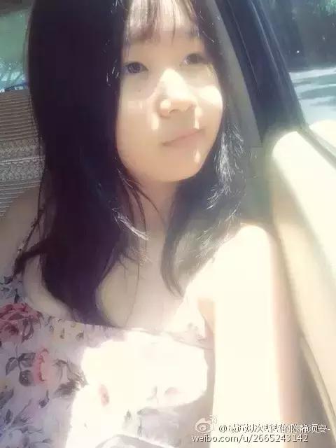 谢飞机随身携带的小绿包,谢飞机表情包视频