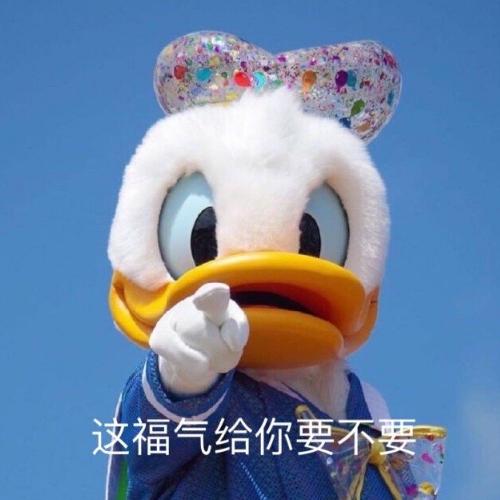 唐老鸭表情包,唐老鸭的动态表情包