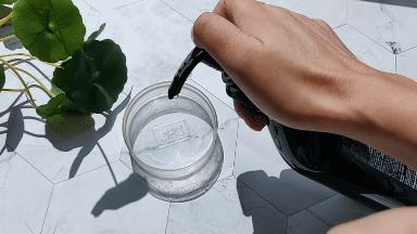 乱花渐欲迷人眼好在哪里,乱花渐欲迷人眼怎么样