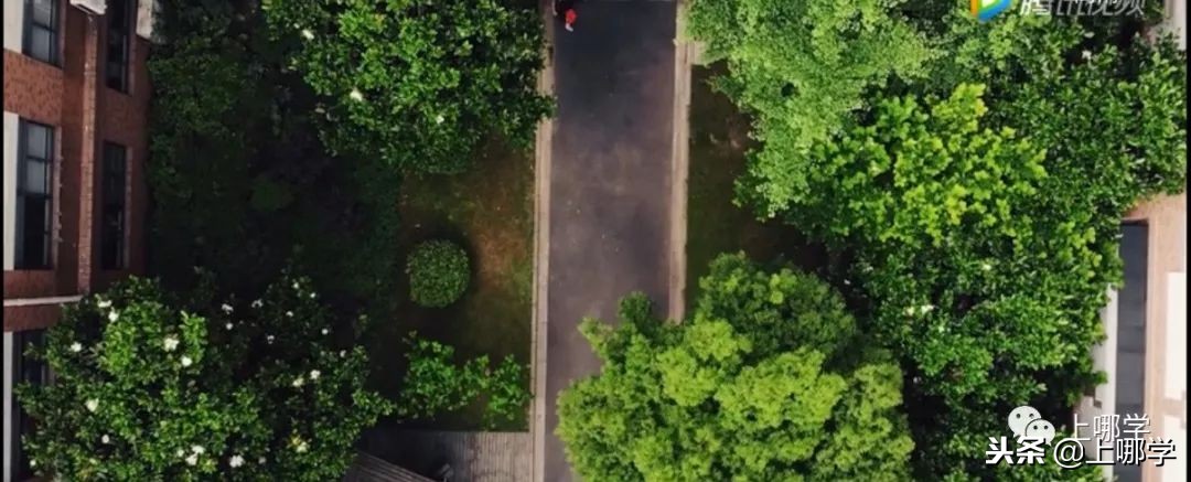 上海最美公办小学,上海环境最好的小学