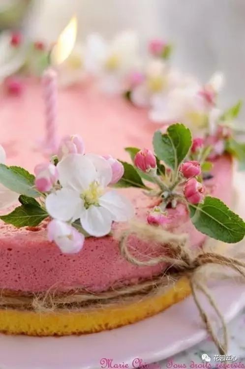 可以食用的花可制作的美食,100种可食用花的做法