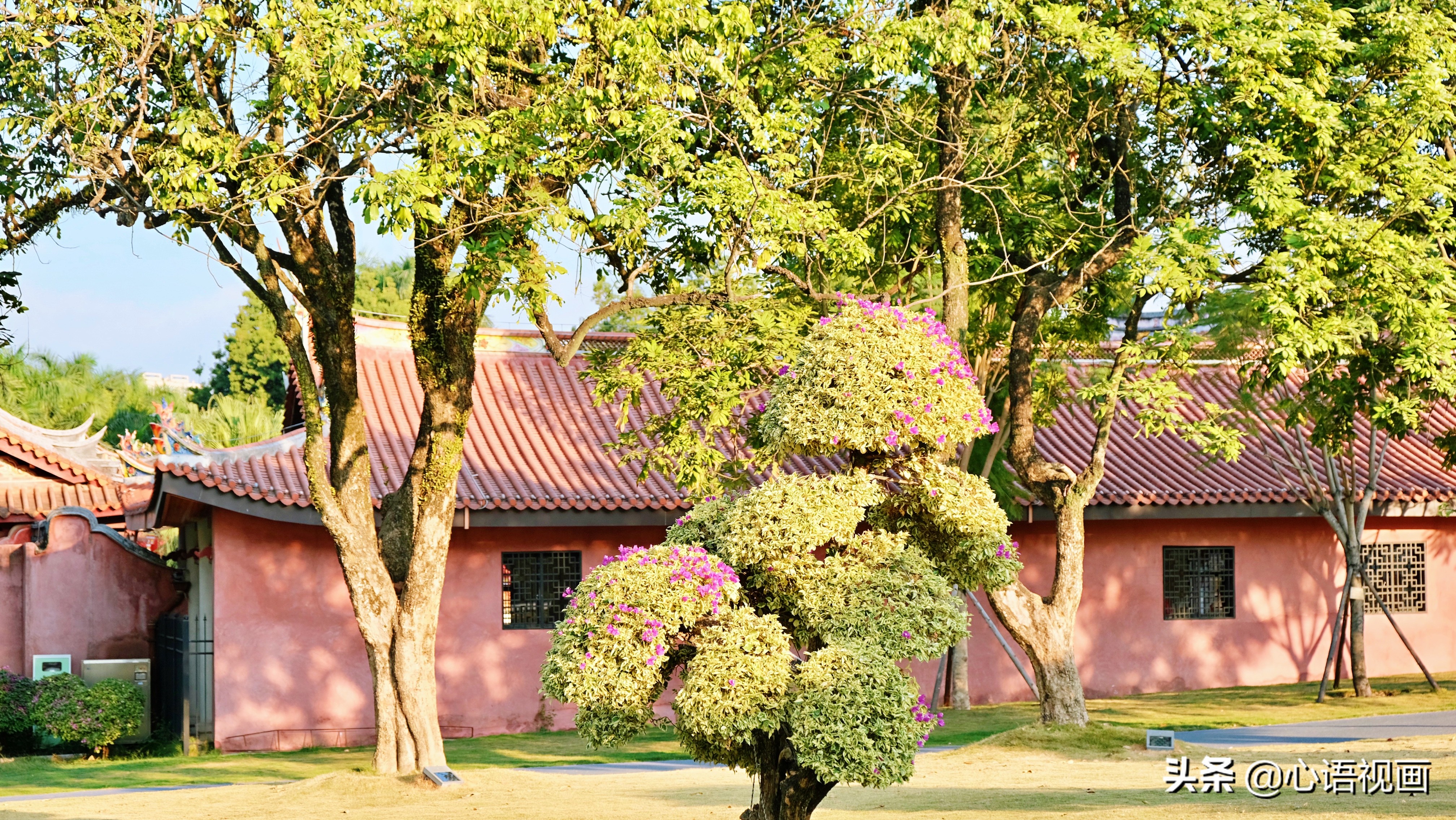 漳州花海风景区景点,漳州花海景区