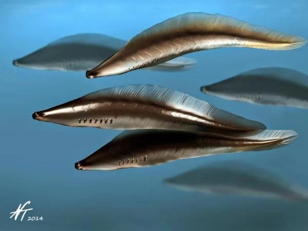 一分半带你看完地球生命进化史,地球生命演化史一口气讲完