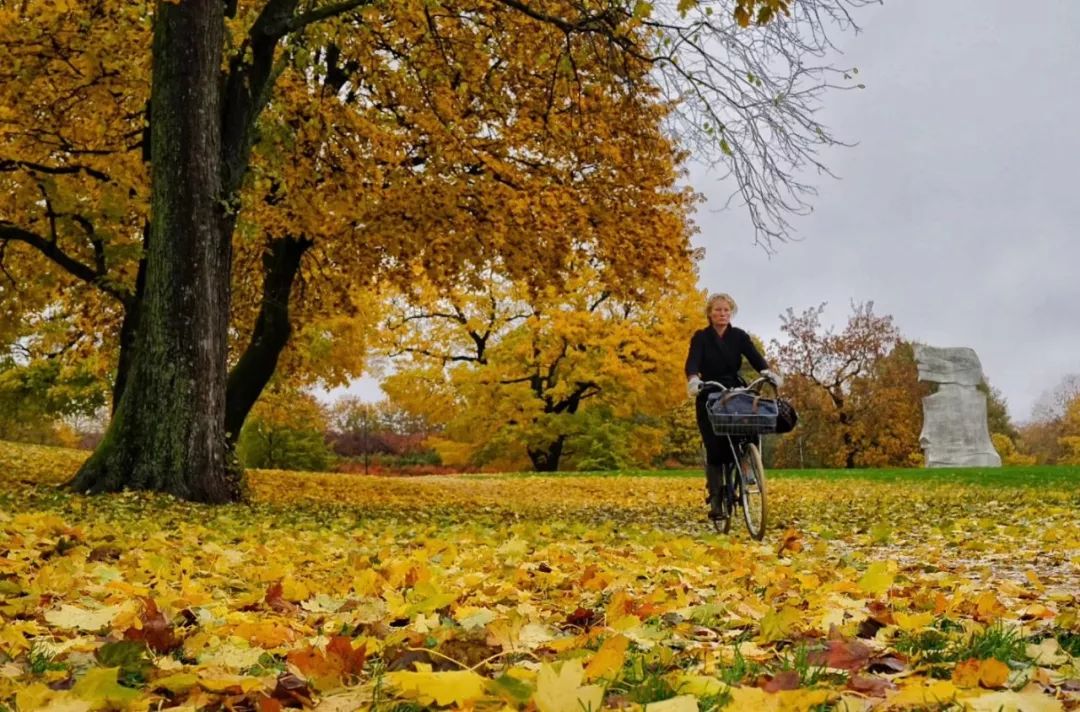 北纬66°34′流浪记——去世界尽头旅行是种什么体验？