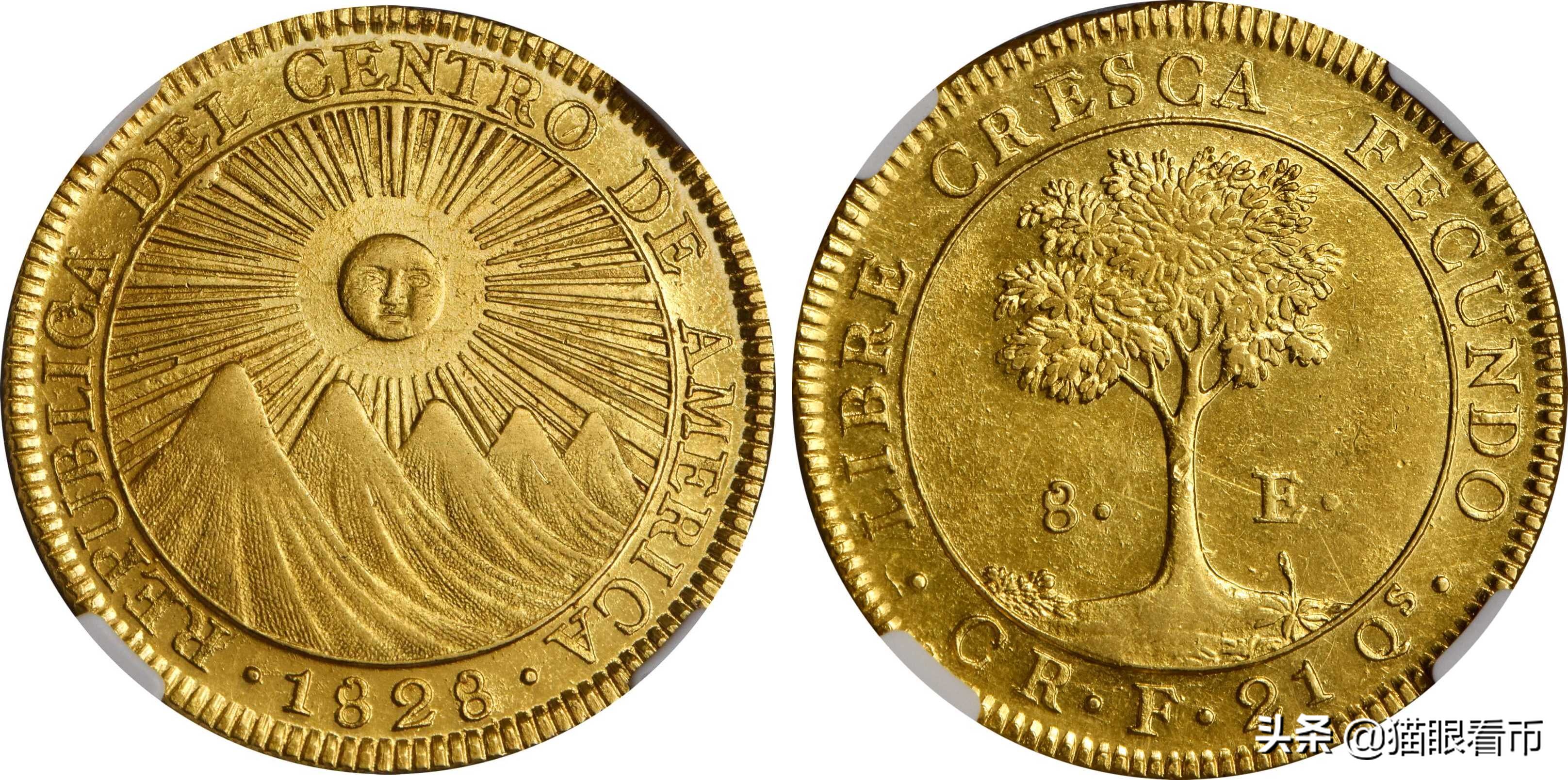 拍卖市场著名拍品,拍卖行情分析