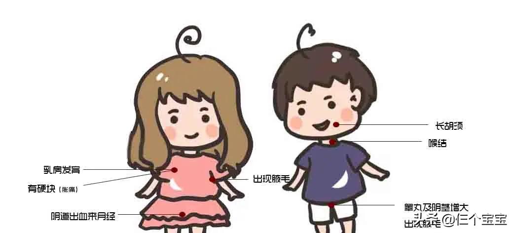 幼儿园小朋友长小胡子,幼儿园的孩子早熟