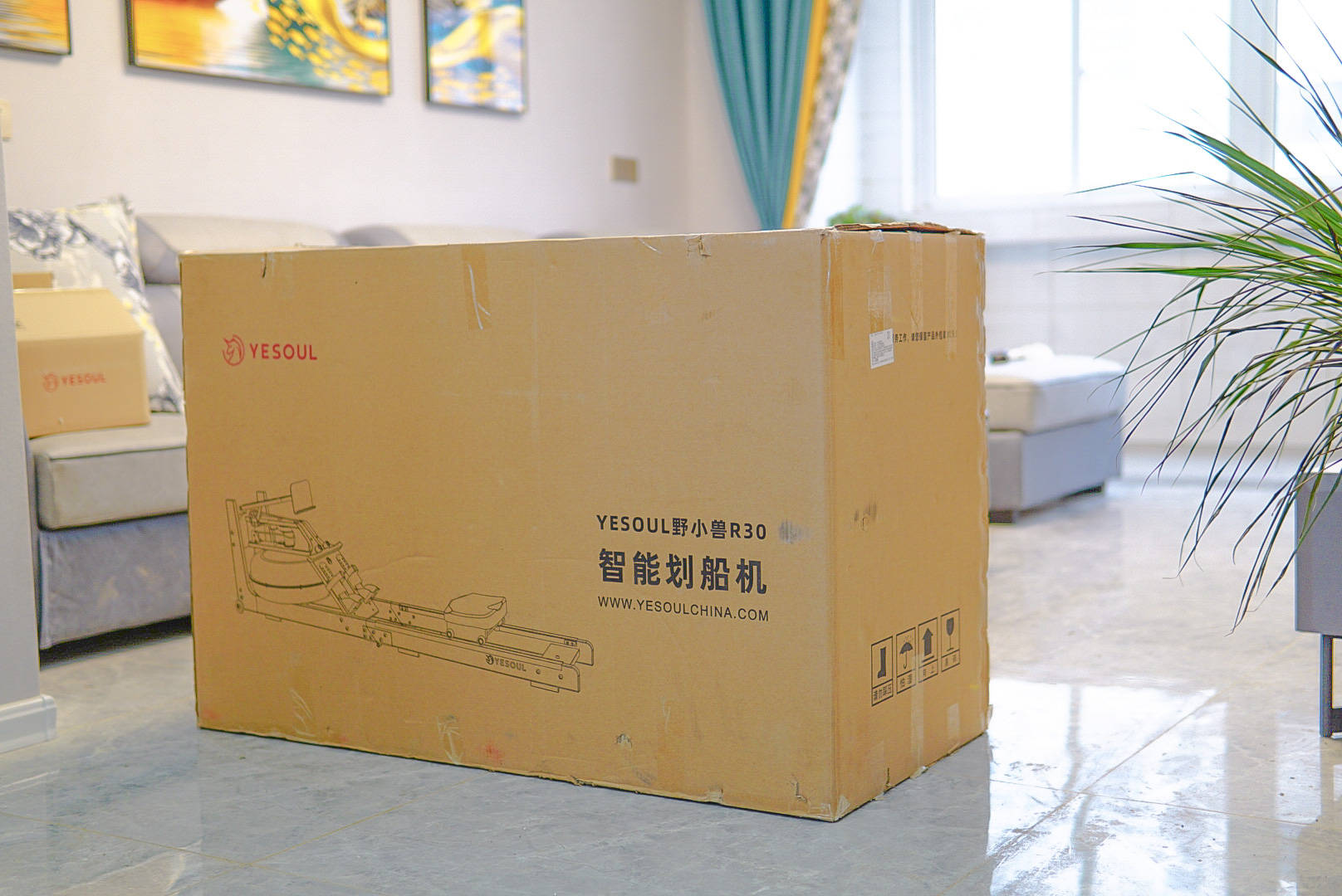 罗永浩划船机,罗永浩划船机推荐