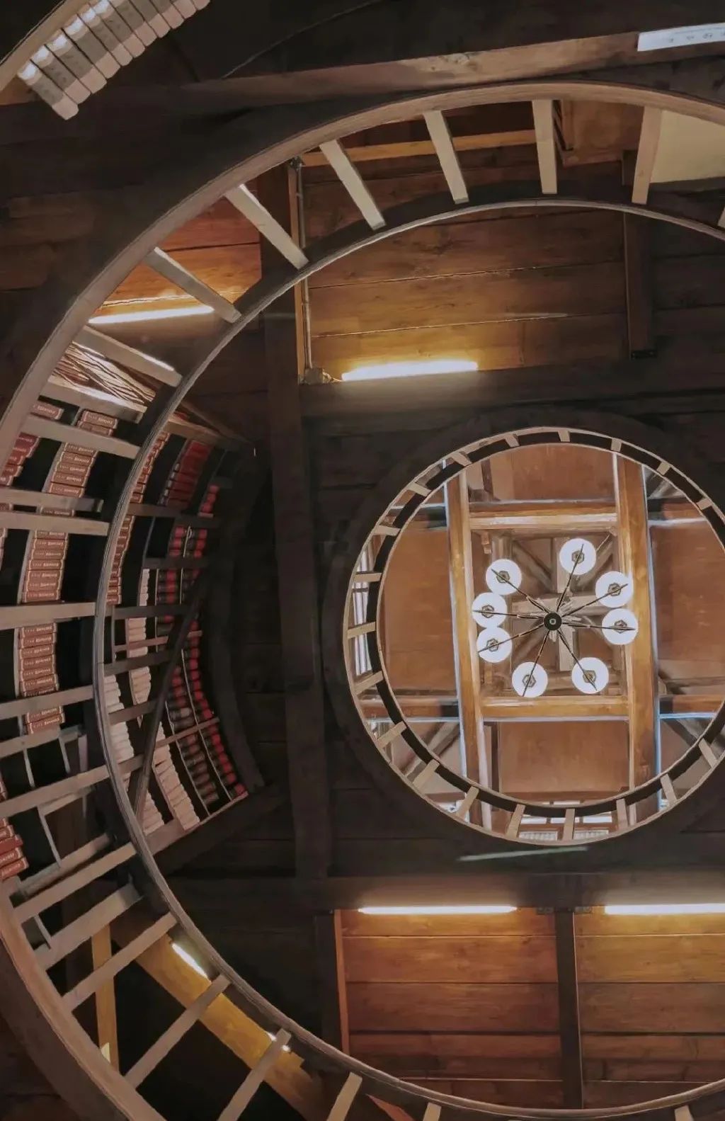 第1家国家4a级旅游区的大学博物馆,隐藏在各大校园里的有趣博物馆