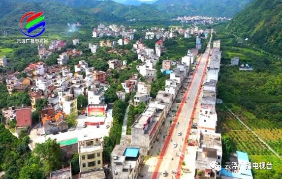 多彩云浮丨美“荔”宝珠，东进融湾