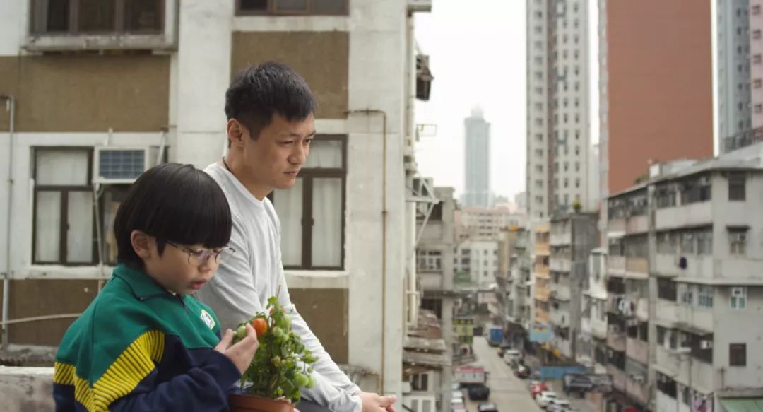 天台李子柒,大爷大妈们活的多么潇洒