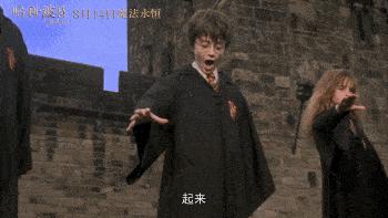 深度观察｜一个IP如何矩阵布局——以《哈利·波特》为例