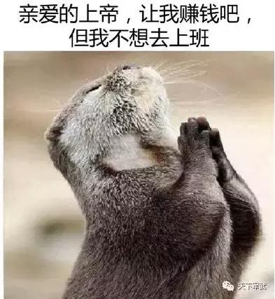 三编,三编是什么