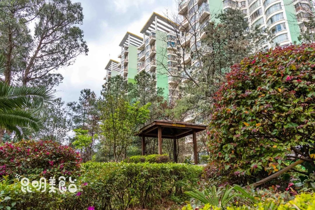 昆明最好吃的酸菜牛肉,昆明关上老坛秘制酸菜牛肉