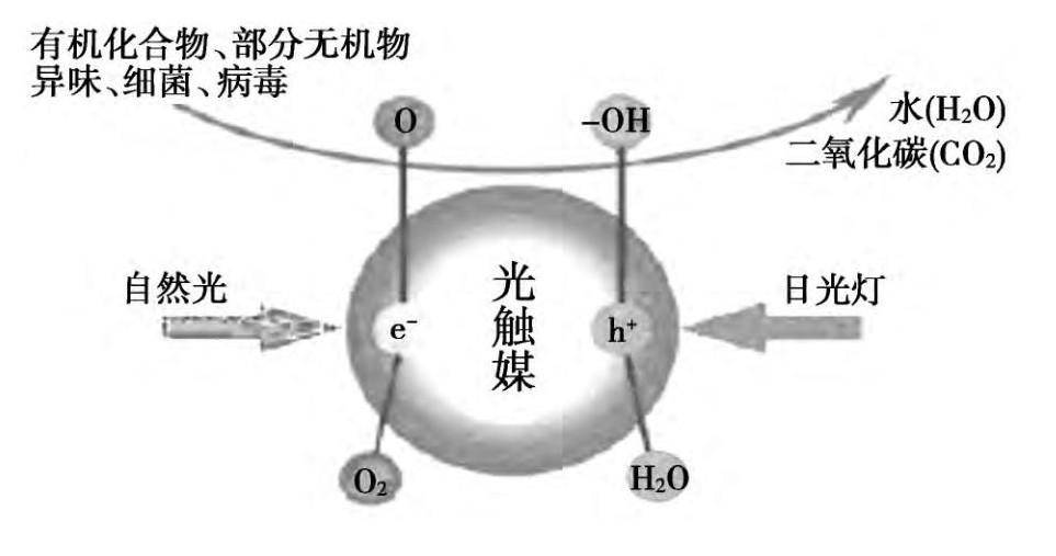 “阴霾”之下如何健康出行，一文读懂汽车新风系统